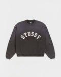 Sun Faded Oversized Crewneck