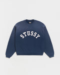 Sun Faded Oversized Crewneck