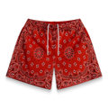 Screenprinted Paisley Two-Tone Red Shorts