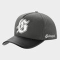 Insignia Leather/Suede Hat (Smoke/Black)