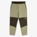 ALD / The North Face Denali Fleece Pant