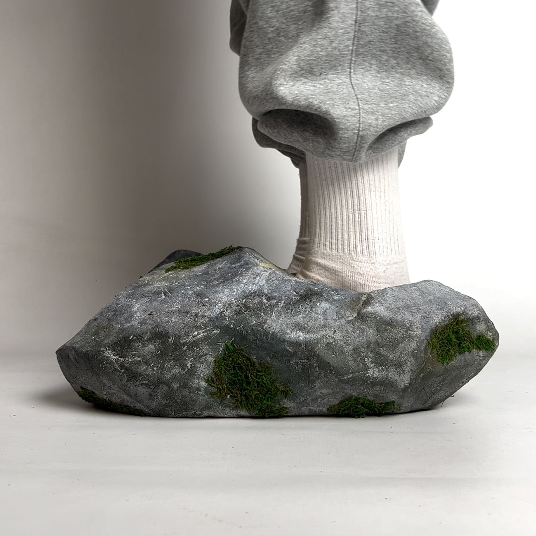 Rock Shoe