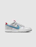 DUNK LOW "SILVER SURFER"