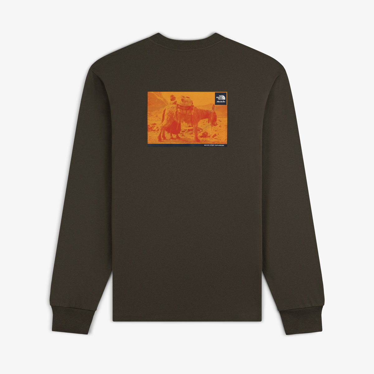 ALD / The North Face Long-Sleeve Explorer Tee