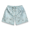 Sky Paisley V3 Shorts