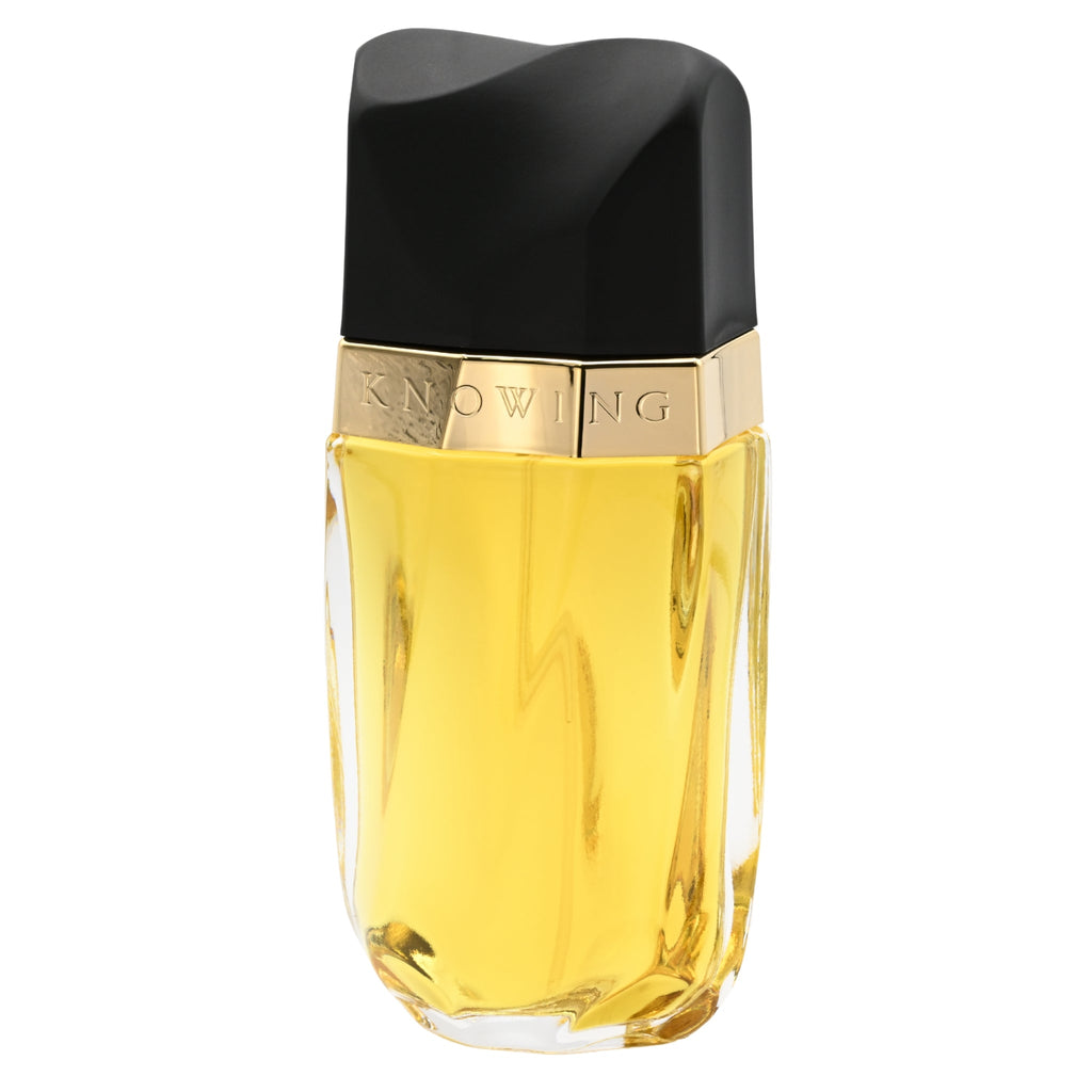 KNOWING Perfume by Estee Lauder 2.5 oz edp New in Retail Box