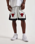 Jordan Flight Muay Thai Shorts